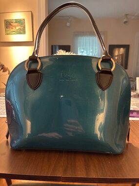 Beijo Teal Purse